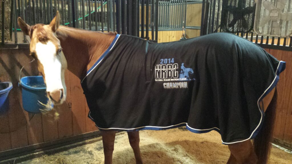 A Horse in a Stable Wearing a Cozy Blanket to Keep Warm.