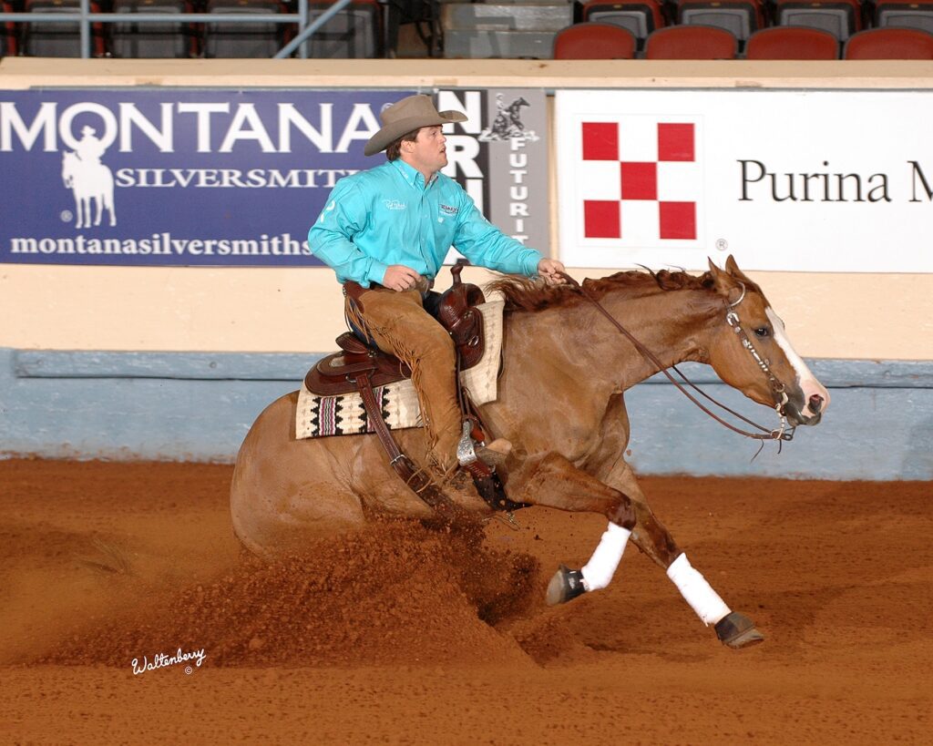 A Man Riding a Horse in an Arena, Showcasing Equestrian Skills and the Bond Between Rider and Horse.