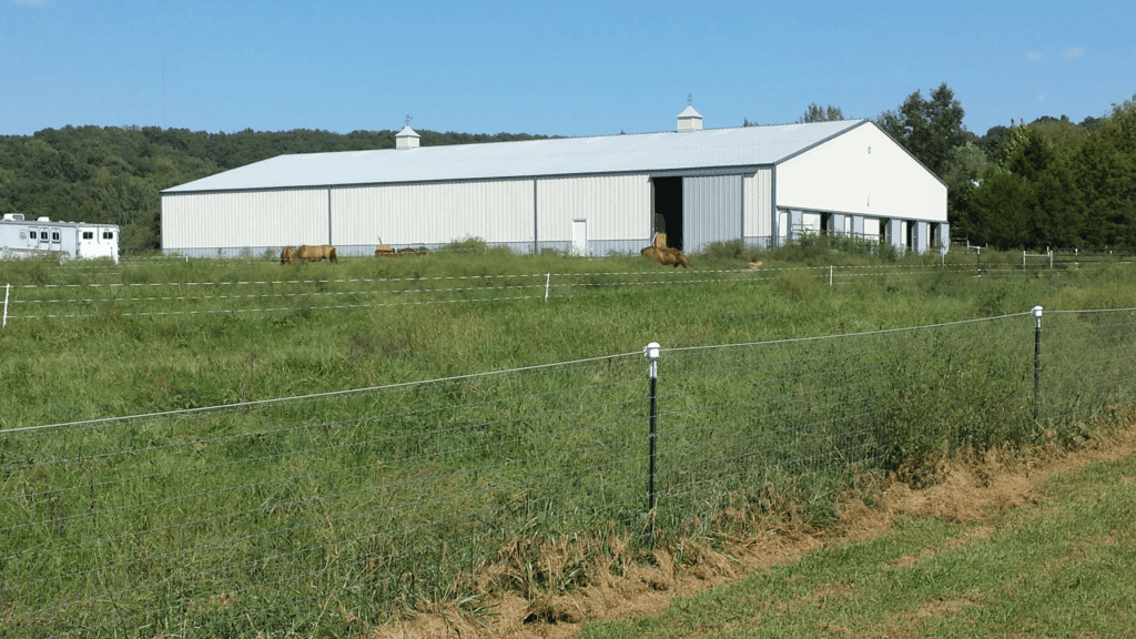 A Beautiful Sunset Over a Calm Ocean With Vibrant Orange and Pink Hues Reflecting on the Water.