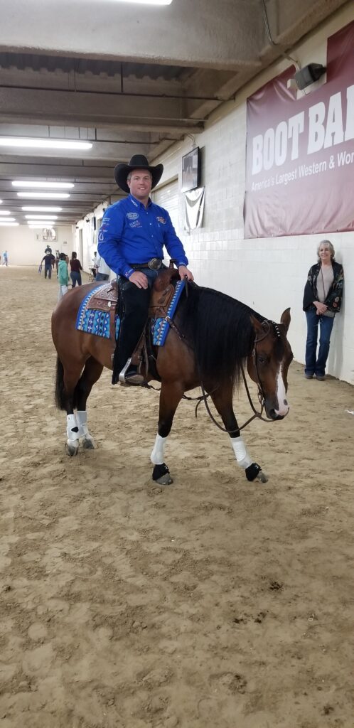 A Person Riding a Horse in an Indoor Arena, Showcasing Equestrian Skills and Training.