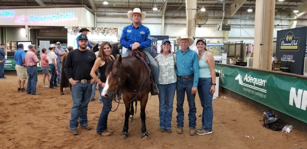 People Gathered Around a Horse in an Indoor Arena, Observing and Interacting With the Majestic Animal.