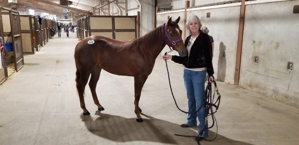 A Woman Standing Beside a Brown Horse in a Field, Showcasing a Harmonious Bond Between Human and Animal.